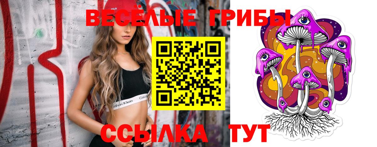 Псилоцибиновые грибы GOLDEN TEACHER Тольятти