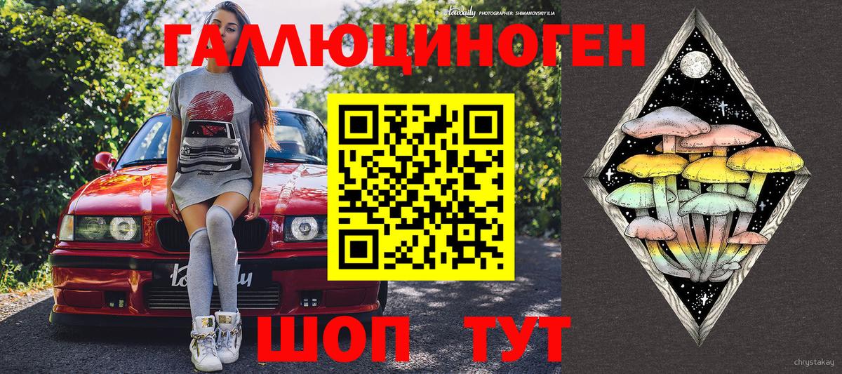 где купить наркотик  Вход с VPN  Тольятти  Псилоцибиновые грибы Cubensis 